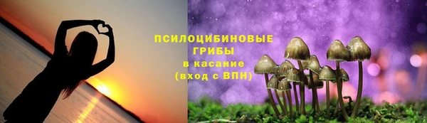 соль курить ск Зеленодольск