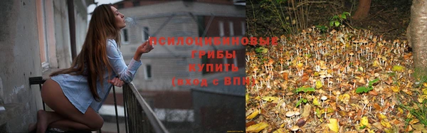 трава Зеленокумск