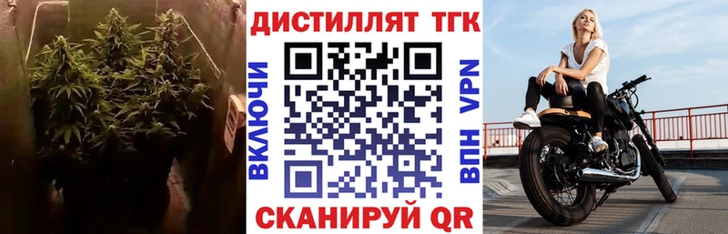 ТГК концентрат  Купить закладки  Елабуга 